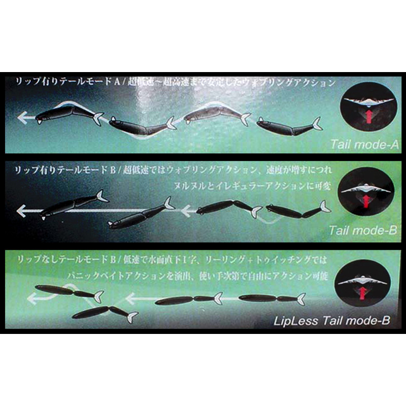 Division Rebel Tackles Tiny Klash